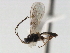  ( - 06-PROBE-4501)  @12 [ ] CreativeCommons - Attribution (2010) Unspecified Centre for Biodiversity Genomics