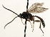  ( - 07PROBE-20418)  @12 [ ] CreativeCommons - Attribution (2009) Unspecified Centre for Biodiversity Genomics