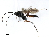  ( - 07PROBE-20442)  @13 [ ] CreativeCommons - Attribution (2009) Unspecified Centre for Biodiversity Genomics