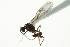  ( - 06-PROBE-4382)  @12 [ ] CreativeCommons - Attribution (2010) CBG Photography Group Centre for Biodiversity Genomics