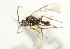  ( - 07PROBE-20287)  @12 [ ] CreativeCommons - Attribution (2010) CBG Photography Group Centre for Biodiversity Genomics