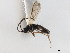  ( - 06-PROBE-3892)  @13 [ ] CreativeCommons - Attribution (2010) Unspecified Centre for Biodiversity Genomics