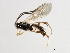  ( - 07PROBE-23960)  @13 [ ] CreativeCommons - Attribution (2010) Unspecified Centre for Biodiversity Genomics
