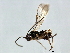  ( - 07PROBE-23993)  @12 [ ] CreativeCommons - Attribution (2010) Unspecified Centre for Biodiversity Genomics