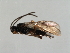  ( - 07PROBE-24002)  @12 [ ] CreativeCommons - Attribution (2010) Unspecified Centre for Biodiversity Genomics