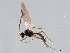 ( - 07PROBE-24148)  @12 [ ] CreativeCommons - Attribution (2010) Unspecified Centre for Biodiversity Genomics