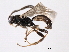  ( - 07PROBE-24189)  @13 [ ] CreativeCommons - Attribution (2010) Unspecified Centre for Biodiversity Genomics