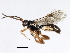  ( - 07PROBE-24252)  @13 [ ] CreativeCommons - Attribution (2009) Unspecified Centre for Biodiversity Genomics