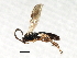  ( - 07PROBE-24253)  @13 [ ] CreativeCommons - Attribution (2009) Unspecified Centre for Biodiversity Genomics