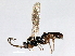  ( - 07PROBE-24254)  @13 [ ] CreativeCommons - Attribution (2009) Unspecified Centre for Biodiversity Genomics