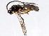  ( - 07PROBE-24257)  @12 [ ] CreativeCommons - Attribution (2009) Unspecified Centre for Biodiversity Genomics