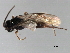  ( - 07PROBE-24281)  @12 [ ] CreativeCommons - Attribution (2010) Unspecified Centre for Biodiversity Genomics