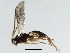  ( - 07PROBE-24350)  @13 [ ] CreativeCommons - Attribution (2009) Unspecified Centre for Biodiversity Genomics
