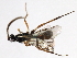  ( - 07PROBE-24375)  @12 [ ] CreativeCommons - Attribution (2009) Unspecified Centre for Biodiversity Genomics
