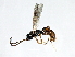  ( - 07PROBE-24386)  @13 [ ] CreativeCommons - Attribution (2009) Unspecified Centre for Biodiversity Genomics