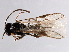  ( - 07PROBE-24492)  @12 [ ] CreativeCommons - Attribution (2010) Unspecified Centre for Biodiversity Genomics