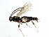  ( - 07PROBE-21161)  @13 [ ] CreativeCommons - Attribution (2009) Unspecified Centre for Biodiversity Genomics