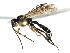  ( - 07PROBE-21358)  @13 [ ] CreativeCommons - Attribution (2009) Unspecified Centre for Biodiversity Genomics