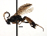  ( - 07PROBE-21411)  @14 [ ] CreativeCommons - Attribution (2009) Unspecified Centre for Biodiversity Genomics