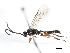  ( - 07PROBE-21444)  @13 [ ] CreativeCommons - Attribution (2009) Unspecified Centre for Biodiversity Genomics
