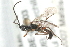  ( - 07PROBE-21003)  @13 [ ] CreativeCommons - Attribution (2009) Unspecified Centre for Biodiversity Genomics