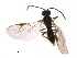  ( - 07PROBE-21636)  @12 [ ] CreativeCommons - Attribution (2009) Unspecified Centre for Biodiversity Genomics