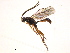  ( - 07PROBE-21647)  @12 [ ] CreativeCommons - Attribution (2009) Unspecified Centre for Biodiversity Genomics