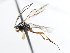  ( - 07PROBE-21469)  @13 [ ] CreativeCommons - Attribution (2009) Unspecified Centre for Biodiversity Genomics