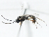  ( - 07PROBE-21476)  @12 [ ] CreativeCommons - Attribution (2009) Unspecified Centre for Biodiversity Genomics