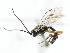  ( - 07PROBE-21483)  @13 [ ] CreativeCommons - Attribution (2009) Unspecified Centre for Biodiversity Genomics