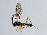  ( - 07PROBE-21501)  @13 [ ] CreativeCommons - Attribution (2009) Unspecified Centre for Biodiversity Genomics