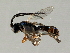  ( - 07PROBE-21503)  @13 [ ] CreativeCommons - Attribution (2009) Unspecified Centre for Biodiversity Genomics