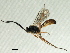 ( - 07PROBE-21601)  @13 [ ] CreativeCommons - Attribution (2009) Unspecified Centre for Biodiversity Genomics