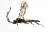  ( - 07PROBE-21780)  @13 [ ] CreativeCommons - Attribution (2009) Unspecified Centre for Biodiversity Genomics