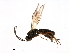  ( - 07PROBE-21796)  @12 [ ] CreativeCommons - Attribution (2009) Unspecified Centre for Biodiversity Genomics