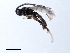  ( - 07PROBE-21896)  @12 [ ] CreativeCommons - Attribution (2009) Unspecified Centre for Biodiversity Genomics