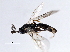  ( - 07PROBE-21903)  @12 [ ] CreativeCommons - Attribution (2009) Unspecified Centre for Biodiversity Genomics