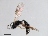  ( - 07PROBE-21961)  @13 [ ] CreativeCommons - Attribution (2009) Unspecified Centre for Biodiversity Genomics