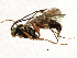  ( - 07PROBE-22093)  @12 [ ] CreativeCommons - Attribution (2009) Unspecified Centre for Biodiversity Genomics
