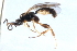  ( - 07PROBE-22114)  @13 [ ] CreativeCommons - Attribution (2009) Unspecified Centre for Biodiversity Genomics