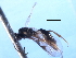  ( - 07PROBE-22130)  @13 [ ] CreativeCommons - Attribution (2009) Unspecified Centre for Biodiversity Genomics