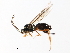  ( - 07PROBE-22166)  @12 [ ] CreativeCommons - Attribution (2009) Unspecified Centre for Biodiversity Genomics