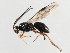  ( - 07PROBE-22181)  @12 [ ] CreativeCommons - Attribution (2009) Unspecified Centre for Biodiversity Genomics