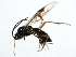  ( - 07PROBE-22233)  @12 [ ] CreativeCommons - Attribution (2009) Unspecified Centre for Biodiversity Genomics