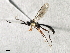  ( - 07PROBE-22659)  @13 [ ] CreativeCommons - Attribution (2009) Unspecified Centre for Biodiversity Genomics