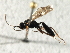  ( - 07PROBE-22671)  @13 [ ] CreativeCommons - Attribution (2009) Unspecified Centre for Biodiversity Genomics