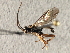  ( - 07PROBE-22674)  @13 [ ] CreativeCommons - Attribution (2009) Unspecified Centre for Biodiversity Genomics