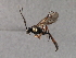  ( - 07PROBE-22684)  @13 [ ] CreativeCommons - Attribution (2009) Unspecified Centre for Biodiversity Genomics