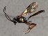  ( - 07PROBE-22689)  @14 [ ] CreativeCommons - Attribution (2009) Unspecified Centre for Biodiversity Genomics