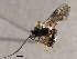  ( - 07PROBE-22716)  @12 [ ] CreativeCommons - Attribution (2009) Unspecified Centre for Biodiversity Genomics